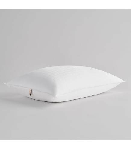Amazon.com: Sleep Blueprint - New Generation® Pillows by TY Group